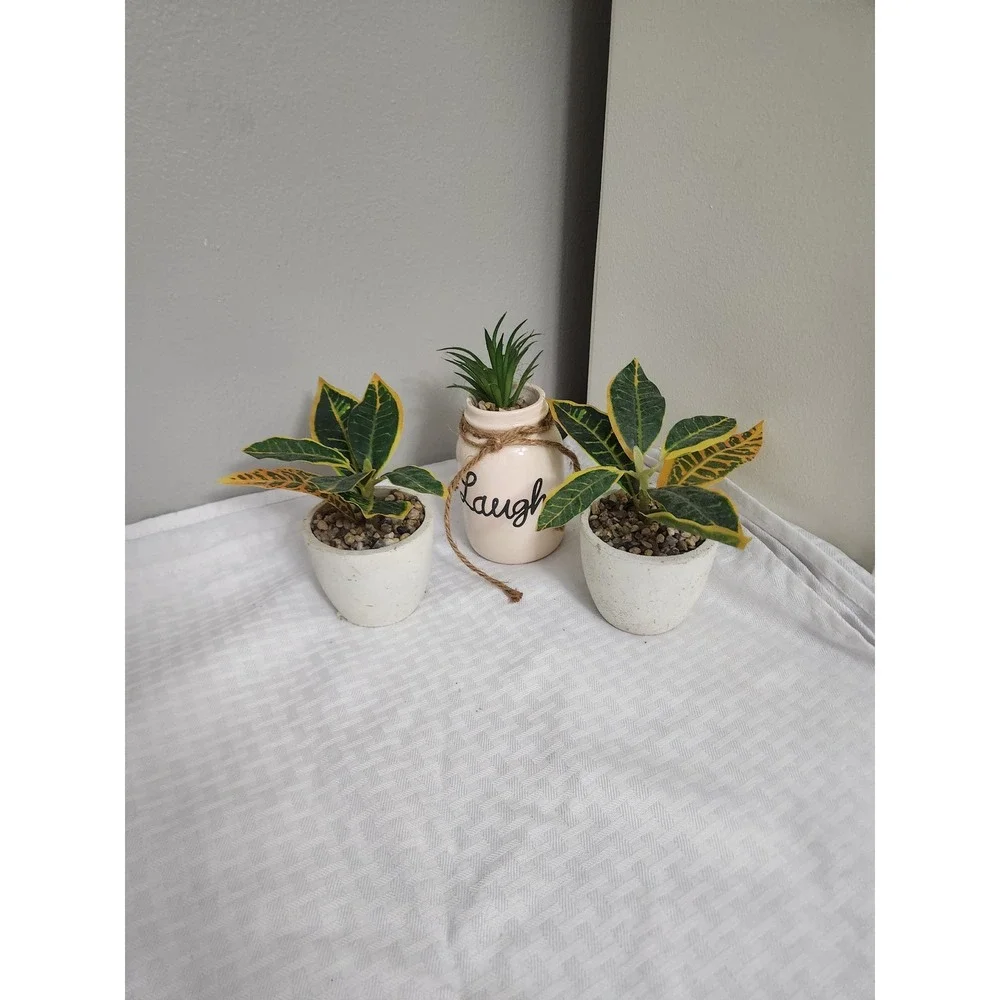 Set of 3 Artificial Plants Succulents in Pots Laugh Ceramic Jar Decor Greenery
